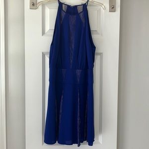 BCBG Royal Blue Dress with lace detail